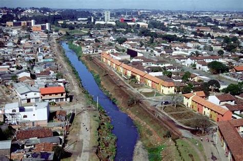 panorama demografico bairro prado velho curitiba